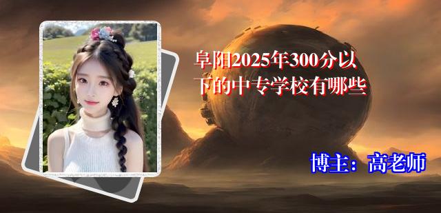 阜阳2025年300分以下的中专学校有哪些