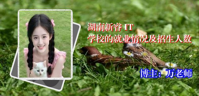 湖南新睿 IT 学校的就业情况及招生人数