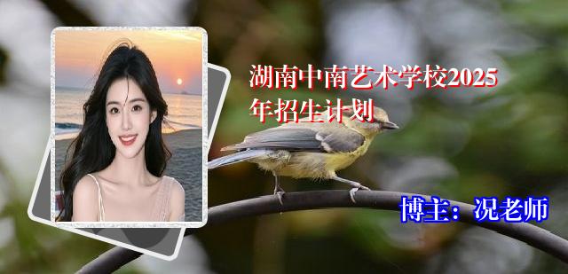 湖南中南艺术学校2025年招生计划