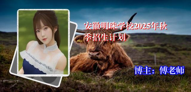 安徽明珠学校2025年秋季招生计划