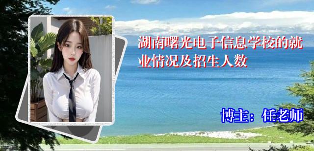 湖南曙光电子信息学校的就业情况及招生人数
