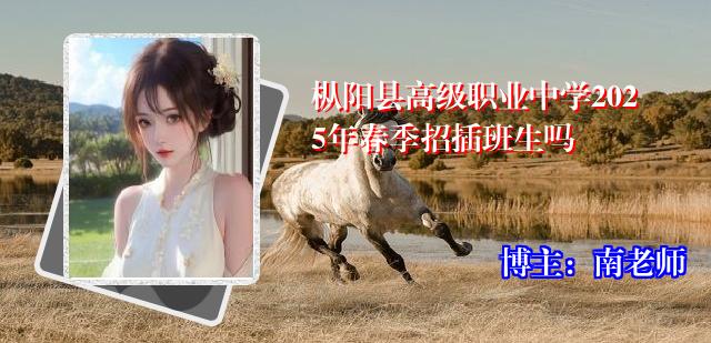 枞阳县高级职业中学2025年春季招插班生吗