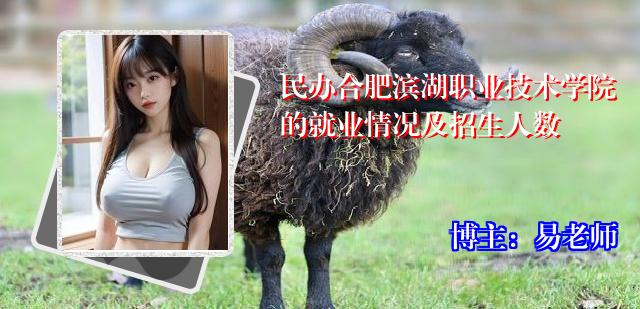 民办合肥滨湖职业技术学院的就业情况及招生人数