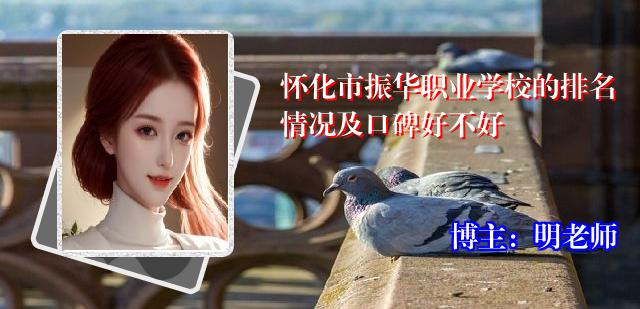 怀化市振华职业学校的排名情况及口碑好不好