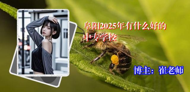 阜阳2025年有什么好的中专学校