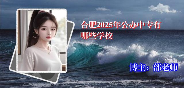 合肥2025年公办中专有哪些学校