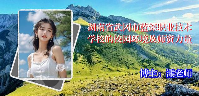 湖南省武冈市蓝深职业技术学校的校园环境及师资力量