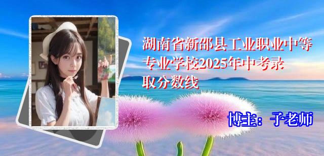湖南省新邵县工业职业中等专业学校2025年中考录取分数线