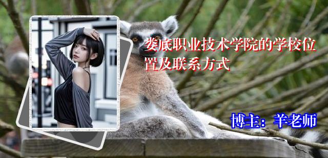 娄底职业技术学院的学校位置及联系方式