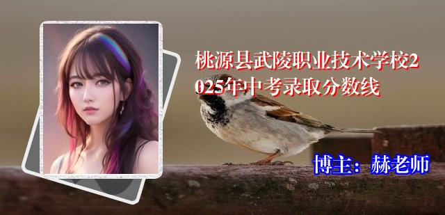 桃源县武陵职业技术学校2025年中考录取分数线