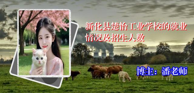 新化县楚怡工业学校的就业情况及招生人数