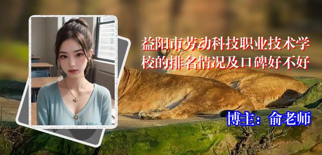 益阳市劳动科技职业技术学校的排名情况及口碑好不好