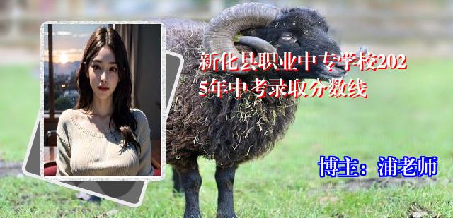 新化县职业中专学校2025年中考录取分数线