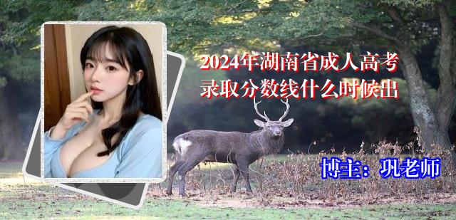 2024年湖南省成人高考录取分数线什么时候出