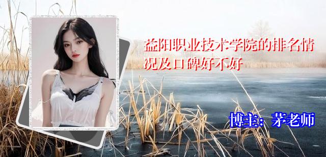 益阳职业技术学院的排名情况及口碑好不好