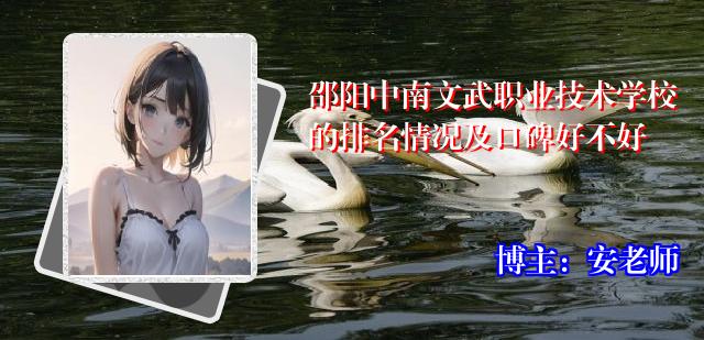 邵阳中南文武职业技术学校的排名情况及口碑好不好