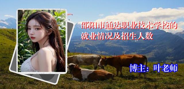 邵阳市通达职业技术学校的就业情况及招生人数