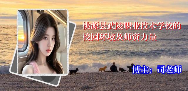 桃源县武陵职业技术学校的校园环境及师资力量