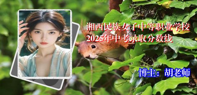 湘西民族女子中等职业学校2025年中考录取分数线