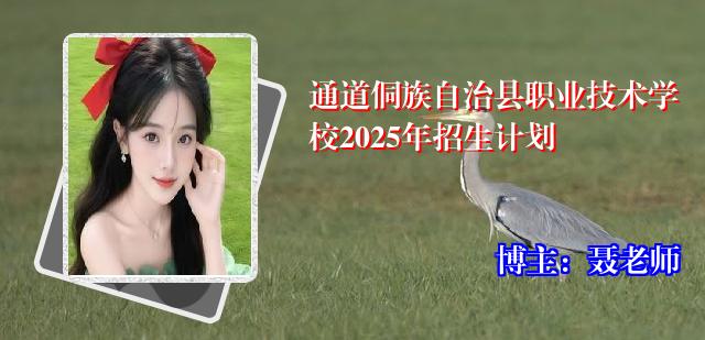 通道侗族自治县职业技术学校2025年招生计划