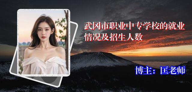 武冈市职业中专学校的就业情况及招生人数