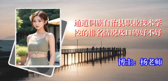 通道侗族自治县职业技术学校的排名情况及口碑好不好