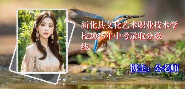 新化县文化艺术职业技术学校2025年中考录取分数线