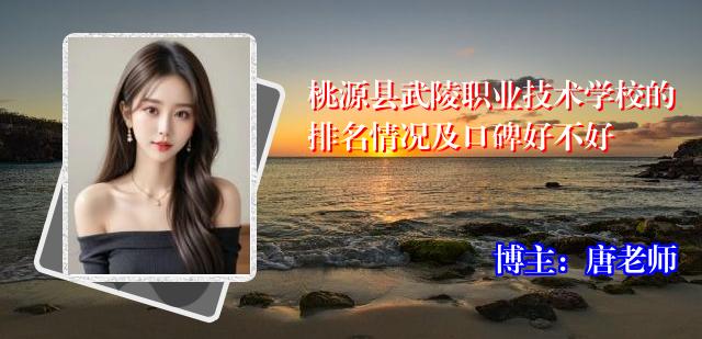 桃源县武陵职业技术学校的排名情况及口碑好不好