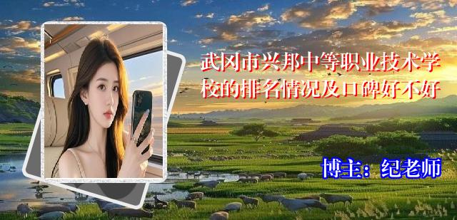 武冈市兴邦中等职业技术学校的排名情况及口碑好不好