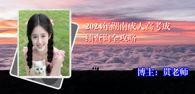 2024年湖南成人高考成绩查询全攻略