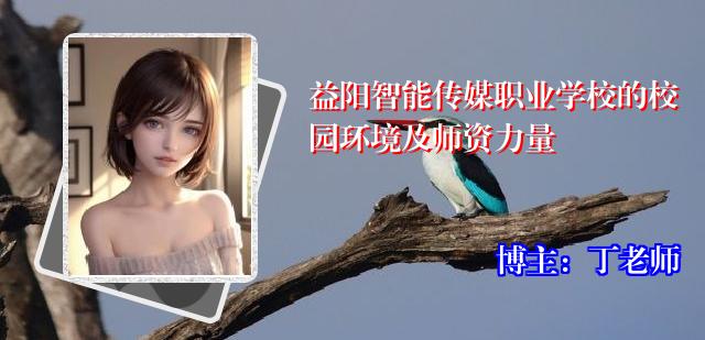 益阳智能传媒职业学校的校园环境及师资力量