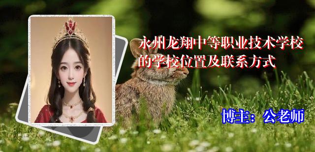永州龙翔中等职业技术学校的学校位置及联系方式