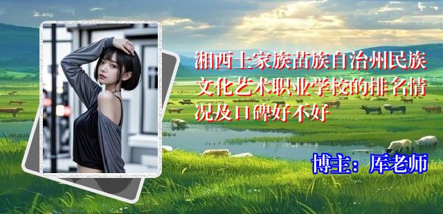 湘西土家族苗族自治州民族文化艺术职业学校的排名情况及口碑好不好