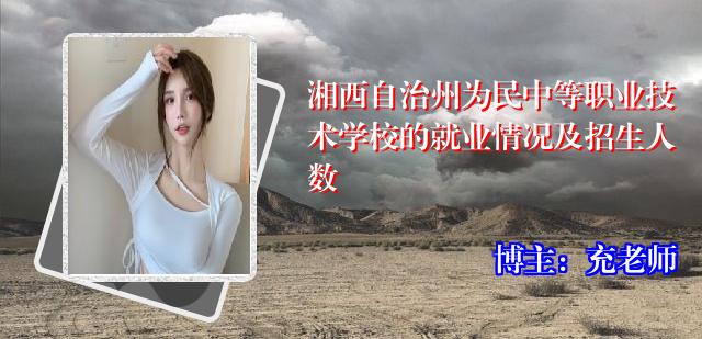湘西自治州为民中等职业技术学校的就业情况及招生人数