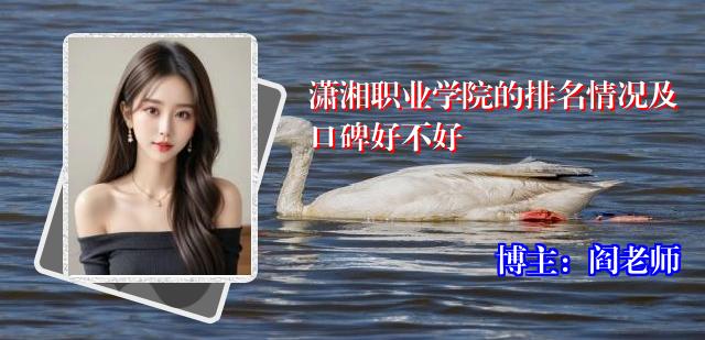 潇湘职业学院的排名情况及口碑好不好