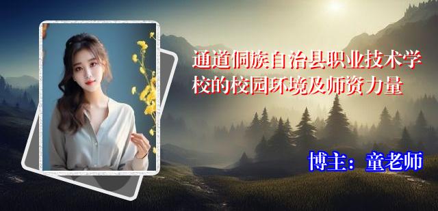 通道侗族自治县职业技术学校的校园环境及师资力量