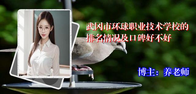 武冈市环球职业技术学校的排名情况及口碑好不好