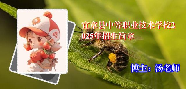 宜章县中等职业技术学校2025年招生简章