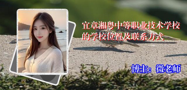 宜章湘粤中等职业技术学校的学校位置及联系方式
