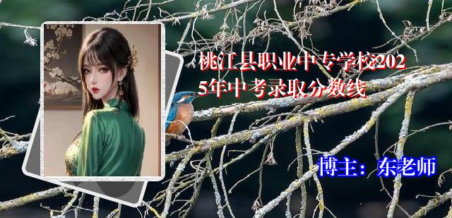 桃江县职业中专学校2025年中考录取分数线