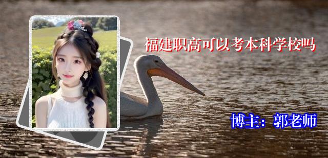 福建职高可以考本科学校吗