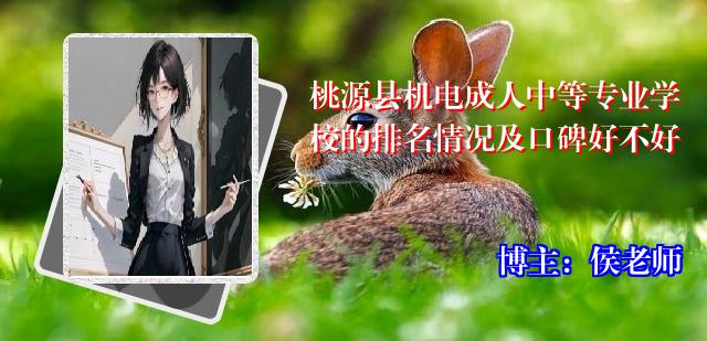 桃源县机电成人中等专业学校的排名情况及口碑好不好