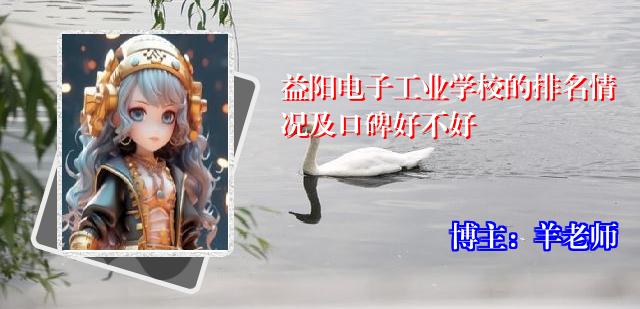 益阳电子工业学校的排名情况及口碑好不好