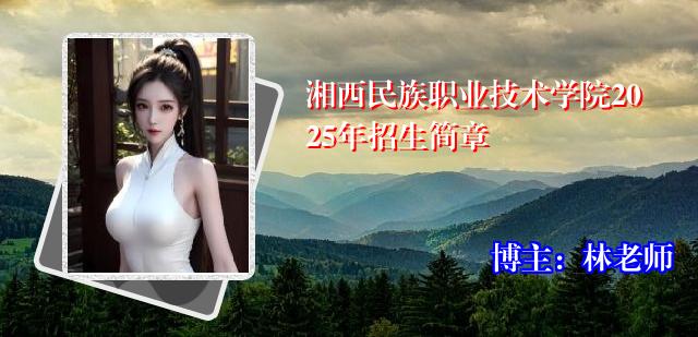 湘西民族职业技术学院2025年招生简章