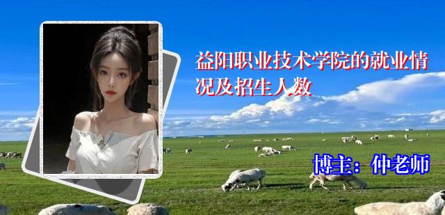 益阳职业技术学院的就业情况及招生人数