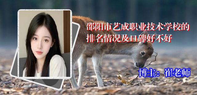 邵阳市艺成职业技术学校的排名情况及口碑好不好