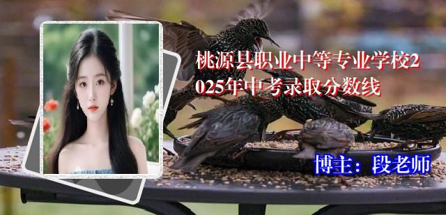桃源县职业中等专业学校2025年中考录取分数线