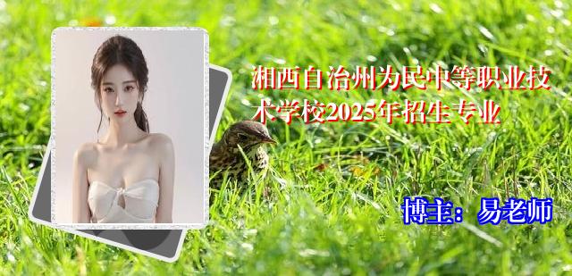 湘西自治州为民中等职业技术学校2025年招生专业