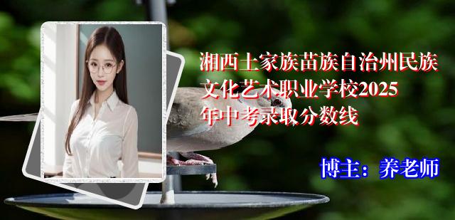 湘西土家族苗族自治州民族文化艺术职业学校2025年中考录取分数线
