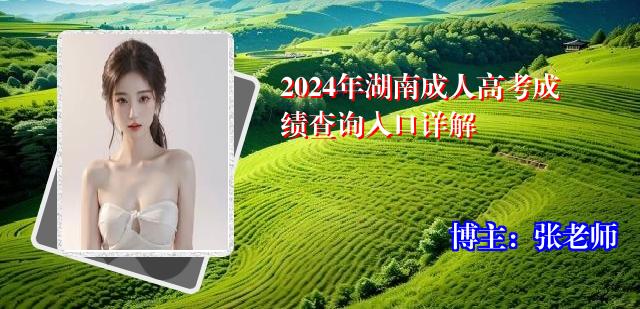 2024年湖南成人高考成绩查询入口详解